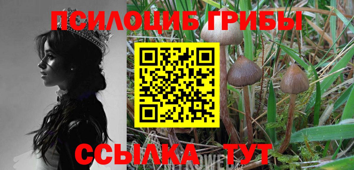 Галлюциногенные грибы GOLDEN TEACHER Мончегорск