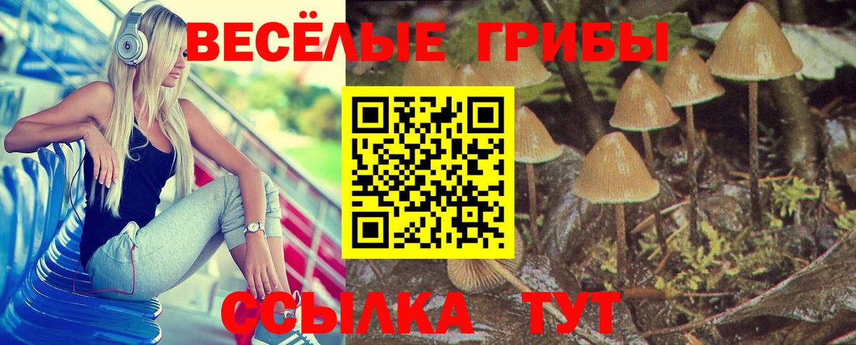 Мончегорск  Галлюциногенные грибы прущие грибы  купить   Вход с VPN 